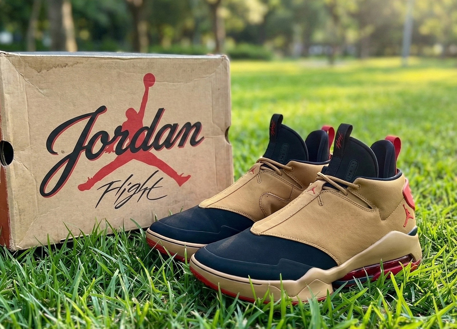 Jordan Zenith II Brooklyn Colorway